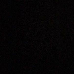 Meet your Posher, Allie